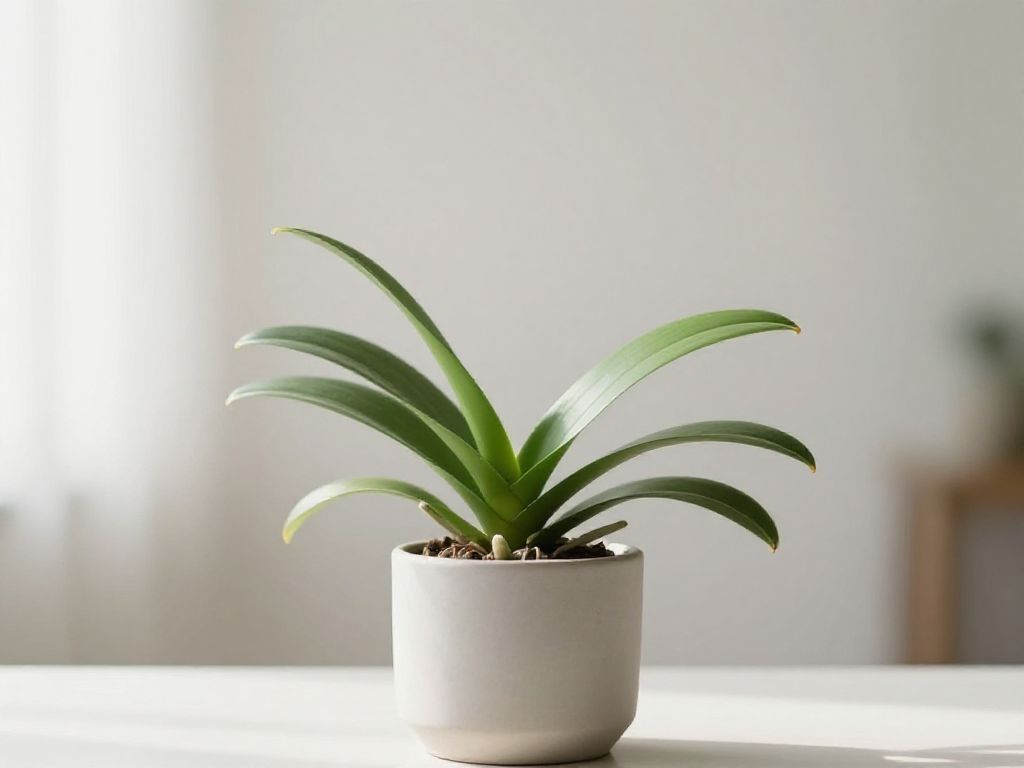 Dendrobium nobile po przekwitnięciu: kompletny przewodnik pielęgnacji